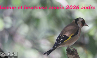 janvier 2026